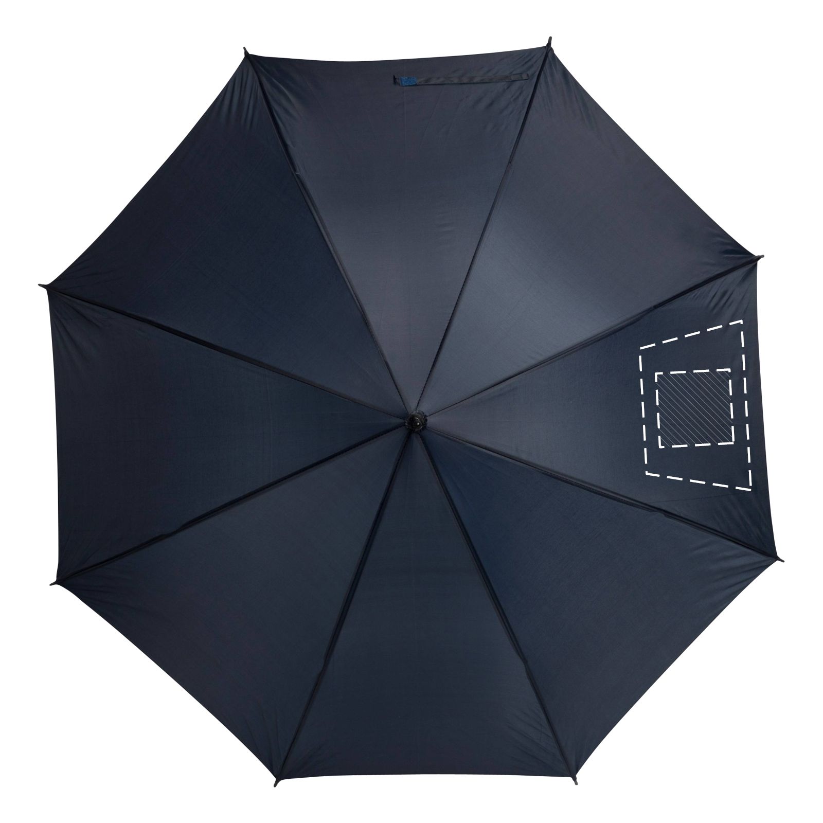 Pannello 7