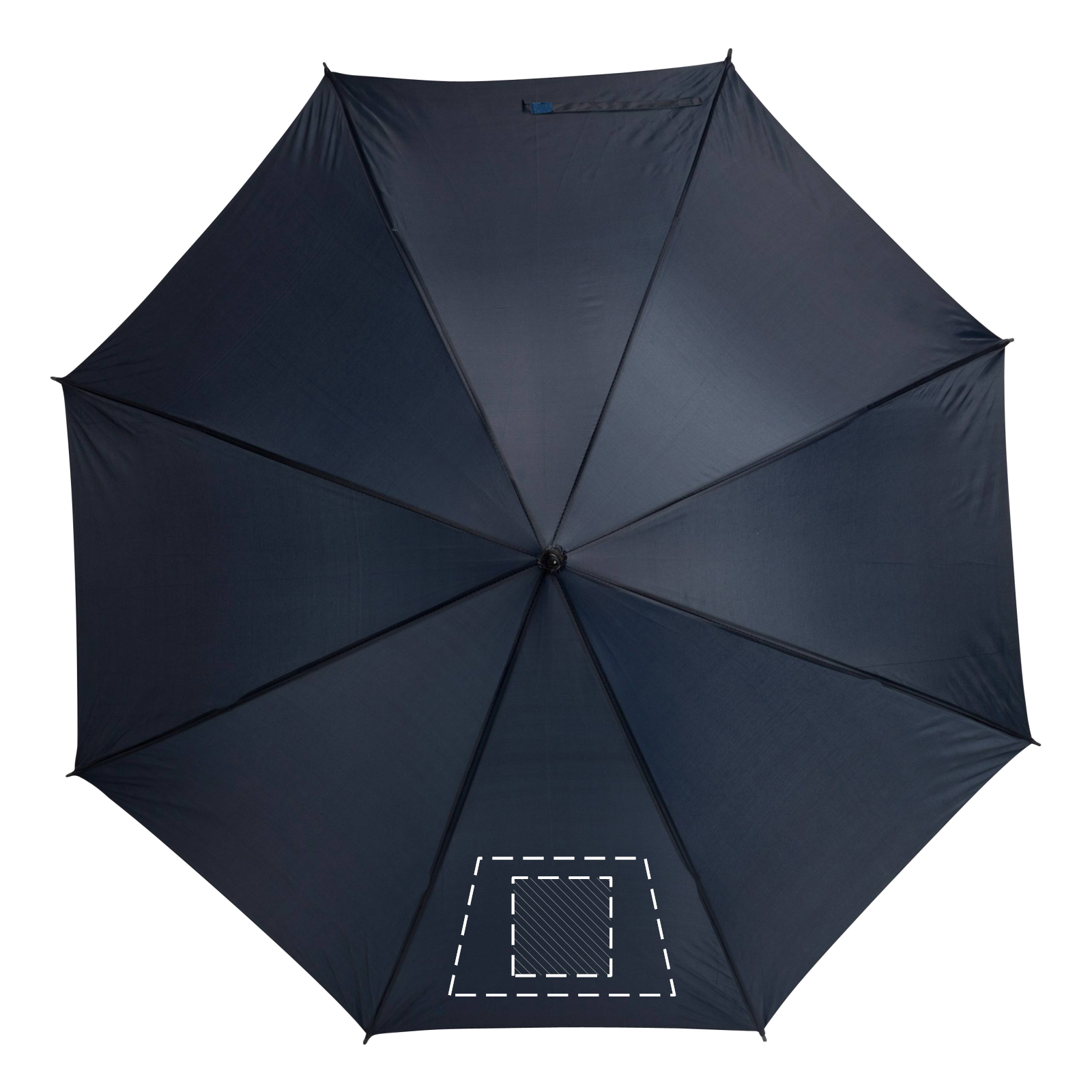 Pannello 1