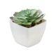 ARTIECHE - Mini pianta artificiale - Gadget.it - 