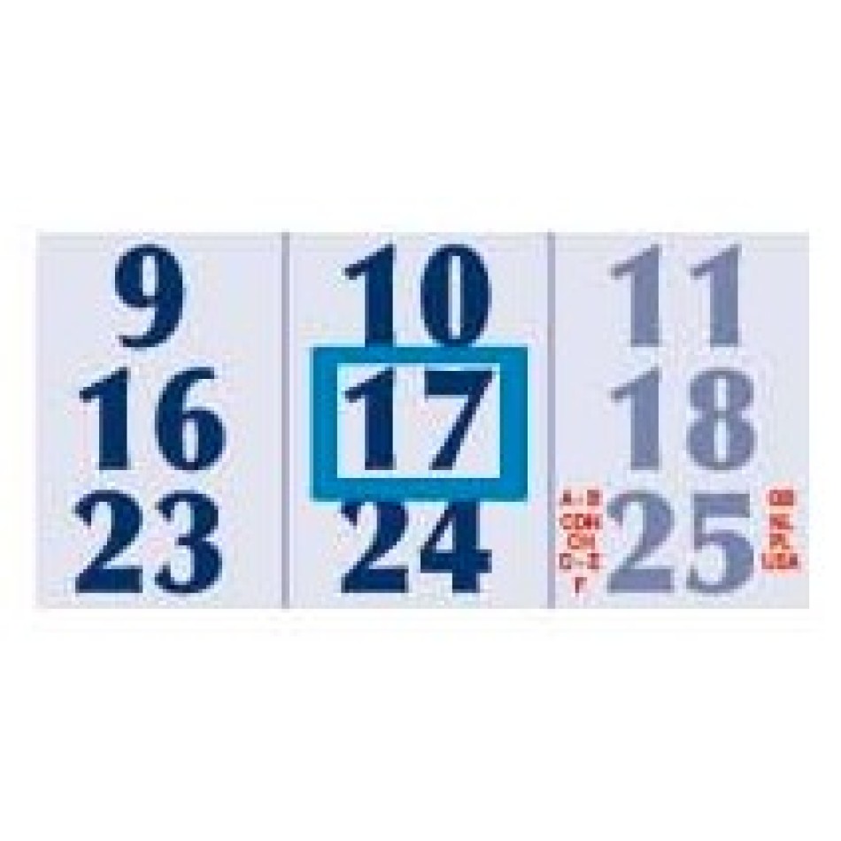 Calendario Trittico 33x70 - Tre blocchi pieghevoli - Gadget.it - Calendario Trittico Trimestrale 3 Spirali e Cursore Incluso 31x86 cm 