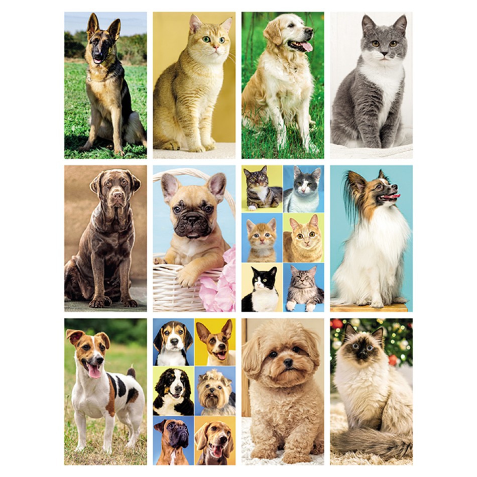 Calendario Cani e Gatti 30x47 - Gadget.it - Calendario Illustrato Mensile Cani e Gatti 30x47 cm