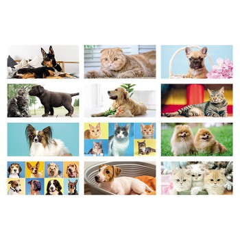 Calendario Cani e Gatti 19x14,5 - Gadget.it - Calendario Spiralato Illustrato da Tavolo Mensile Cani e Gatti 19x14,5 cm 