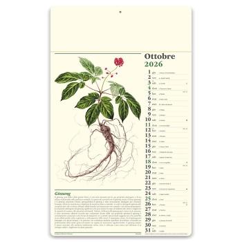 Calendario Erboristeria 31x52,5  - Gadget.it - Calendario Almanacco Italiano Mensile Erboristeria 31x52,5 cm