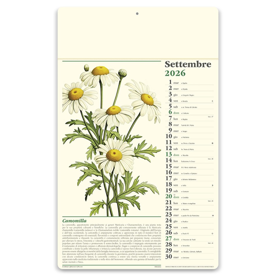 Calendario Erboristeria 31x52,5  - Gadget.it - Calendario Almanacco Italiano Mensile Erboristeria 31x52,5 cm