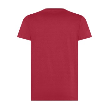 T-shirt 100% cotone - Evolution Unisex - Gadget.it - 