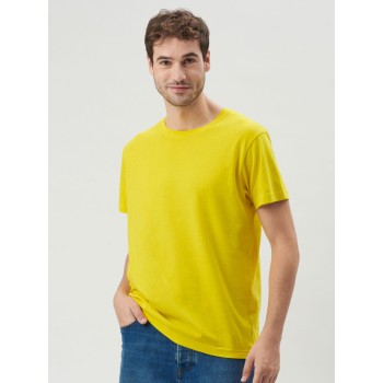 T-shirt 100% cotone - Evolution Unisex - Gadget.it - 