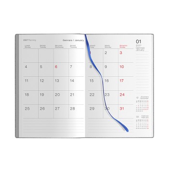 FLEX DAILY - Gadget.it - 