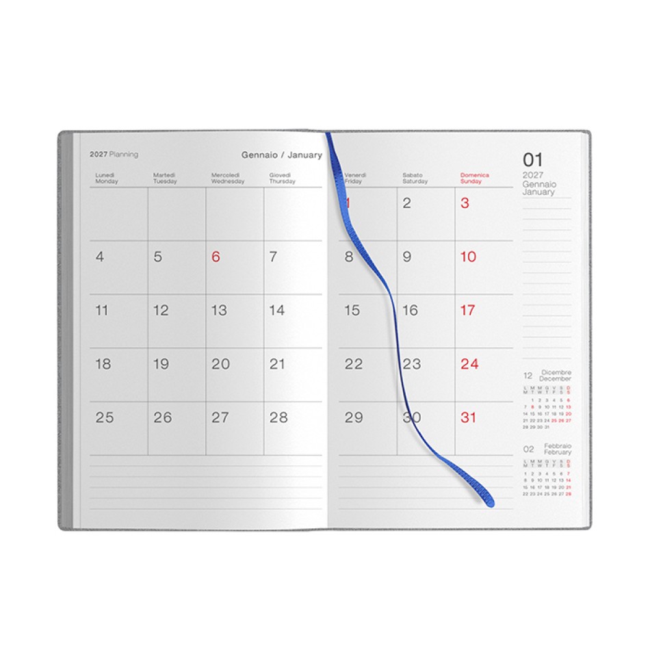 FLEX DAILY - Gadget.it - 