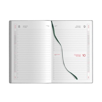 FLEX DAILY - Gadget.it - 