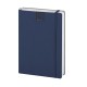 FLEX DAILY - Gadget.it - 