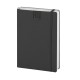 FLEX DAILY - Gadget.it - 