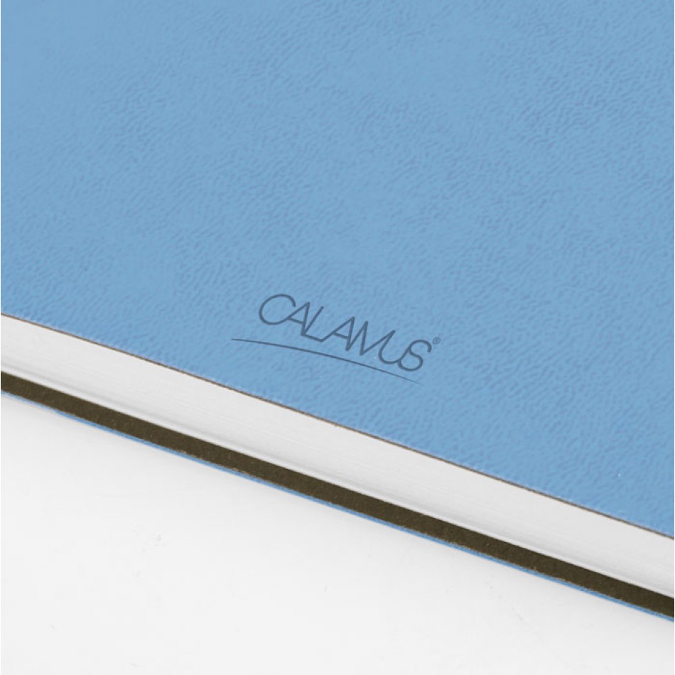 FLEX DAILY - Gadget.it - 