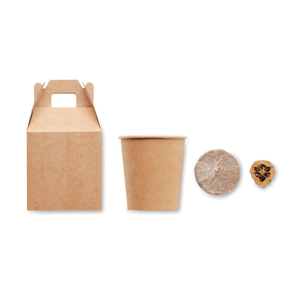 GROWTREE™ - Set in legno di pino - Gadget.it - 