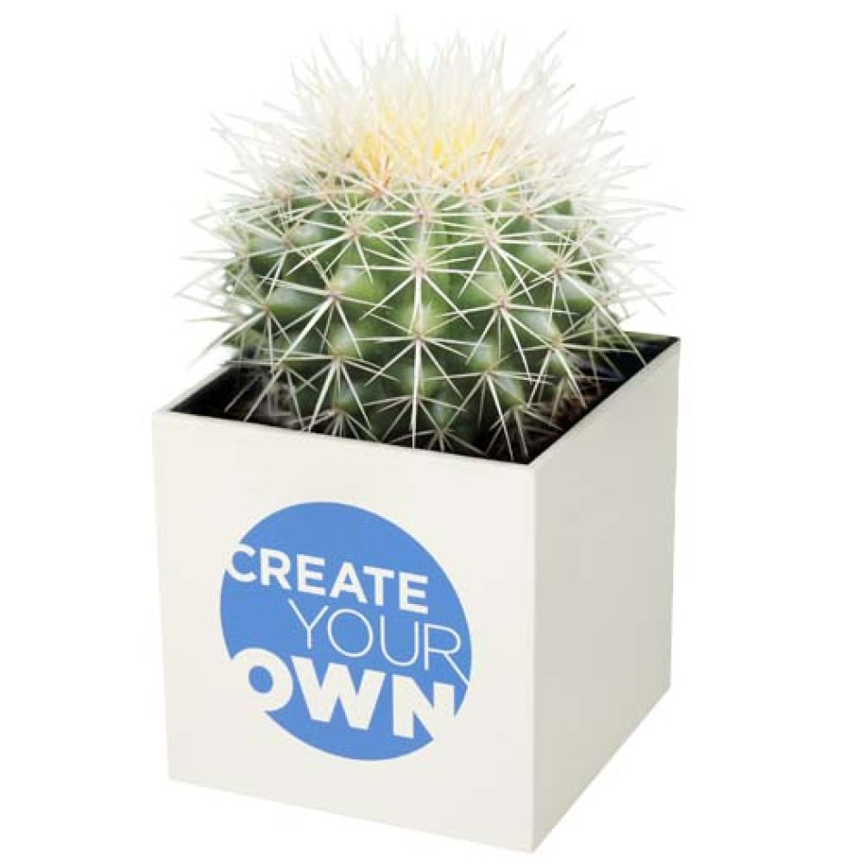 Hey Pots aluminium planted pot - cactus - Gadget.it - 