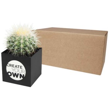 Hey Pots aluminium planted pot - cactus - Gadget.it - 
