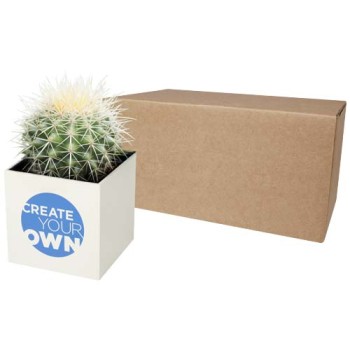 Hey Pots aluminium planted pot - cactus - Gadget.it - 