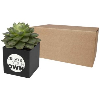Hey Pots aluminium planted pot - succulent - Gadget.it - 