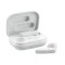 Auricolari True Wireless Stereo TWS 5.3