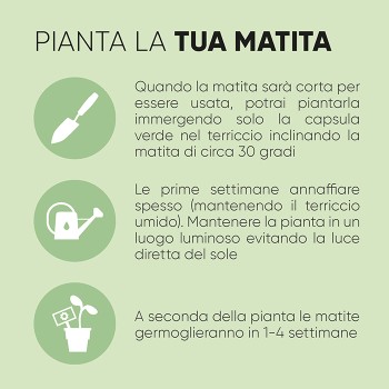 Matita coltivabile - MARGHERITA - Gadget.it - 