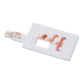 MEMORAMA - Creditcard. USB flash 16GB - Gadget.it - 