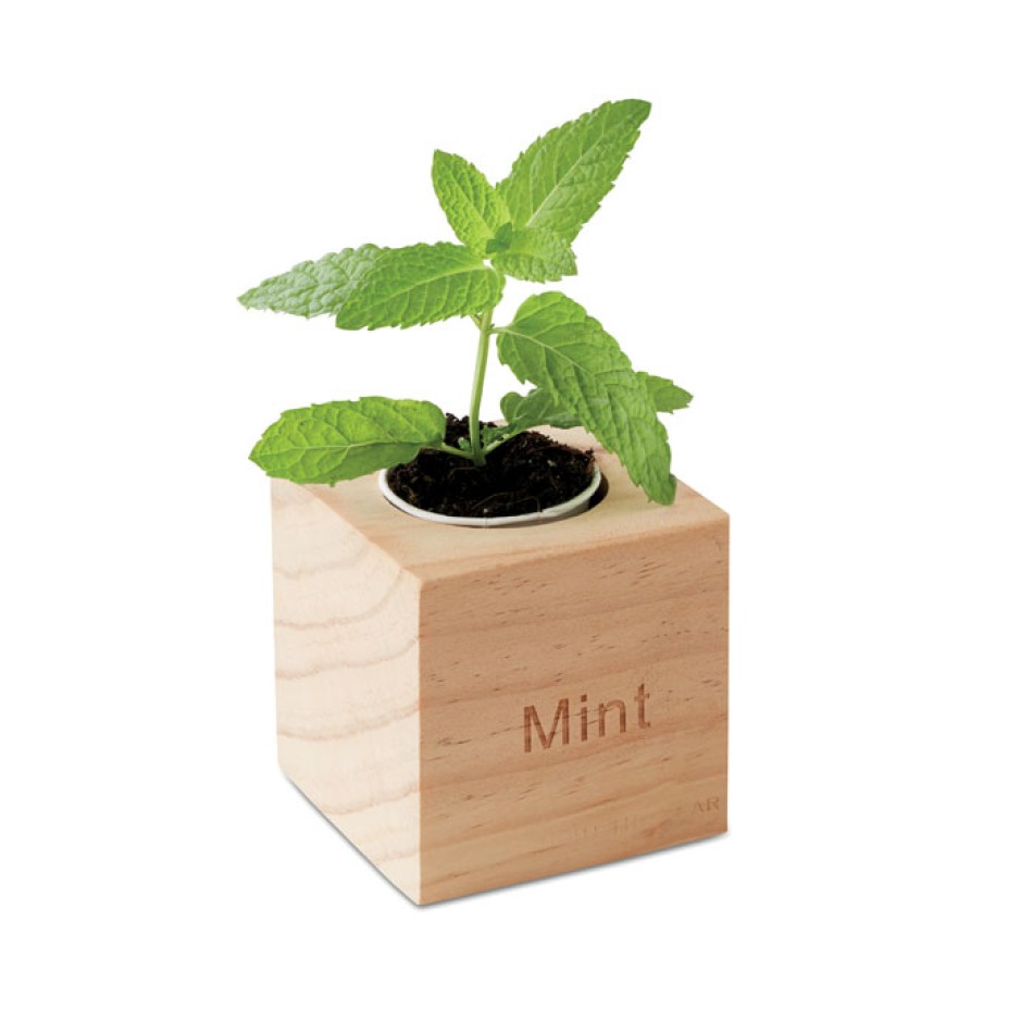 MENTA - Mini vaso in legno - Gadget.it - 