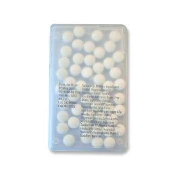 Mentine rettangolo, custodia in PP Judith - Gadget.it - 