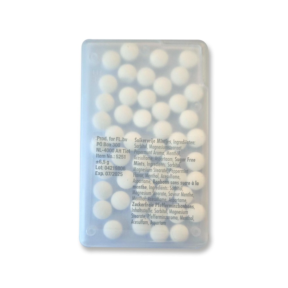 Mentine rettangolo, custodia in PP Judith - Gadget.it - 