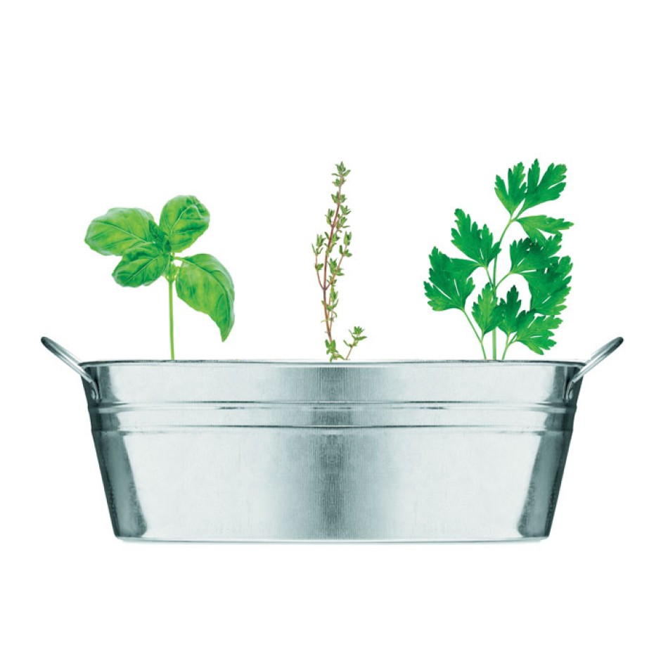 MIX SEEDS - Vaschetta con 3 semi di erbe - Gadget.it - 