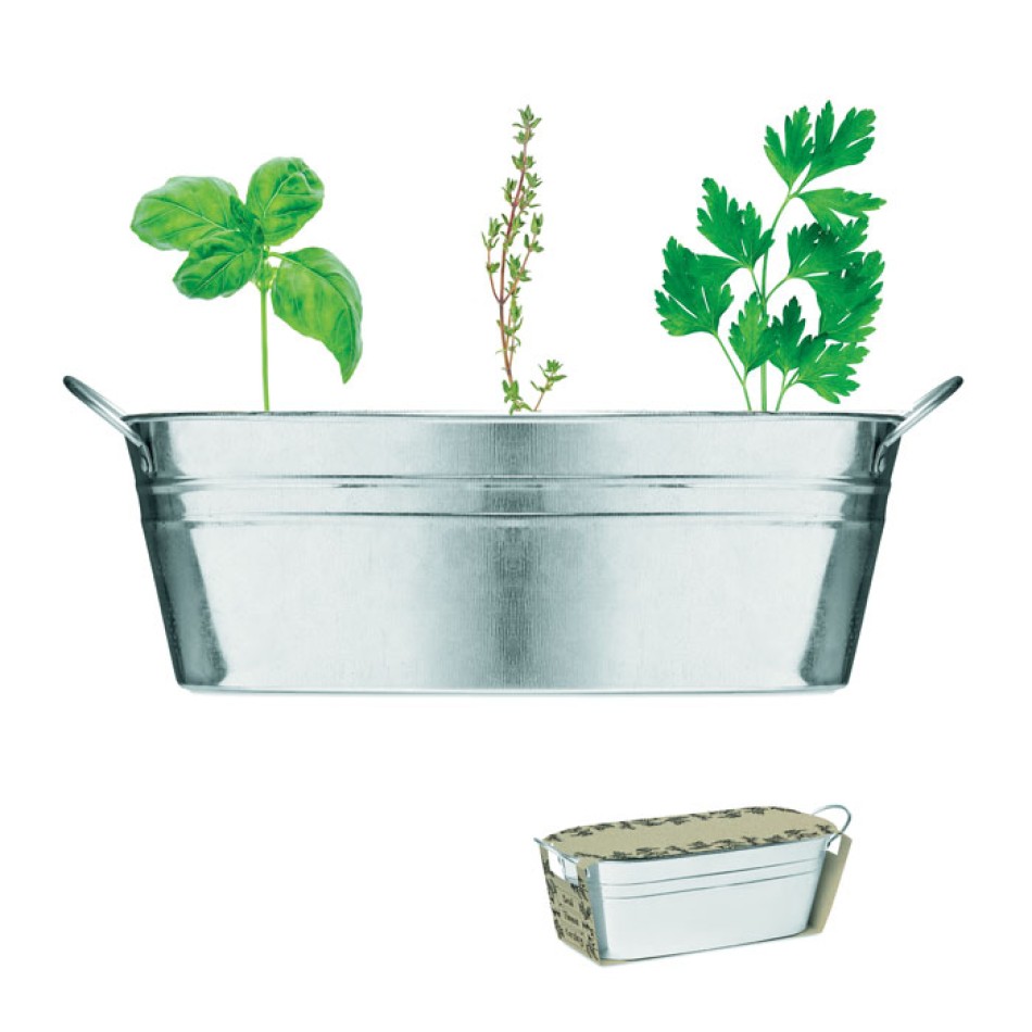 MIX SEEDS - Vaschetta con 3 semi di erbe - Gadget.it - 