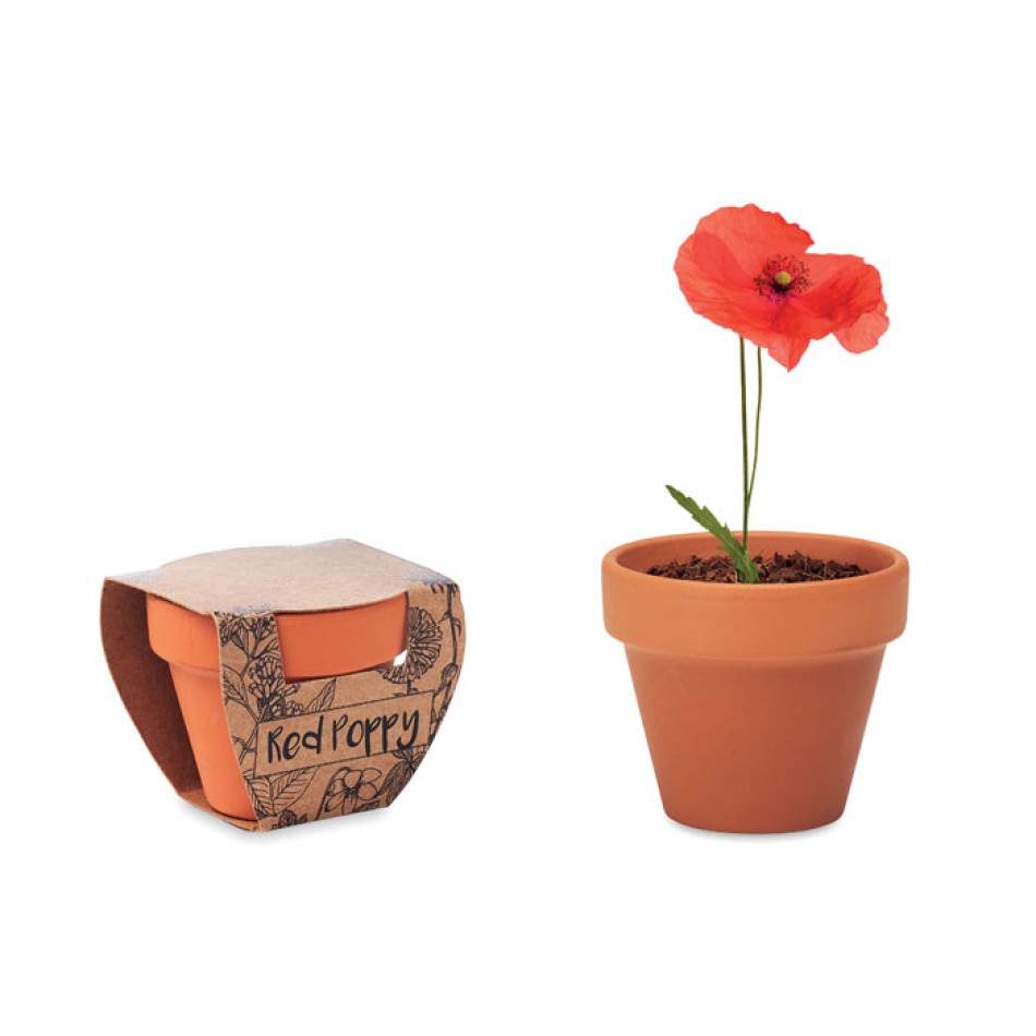 RED POPPY - Semi di papavero - Gadget.it - 