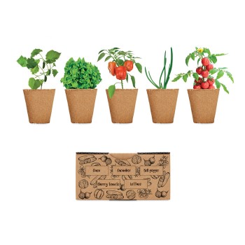 SALAD - Kit per coltivare insalata - Gadget.it - 