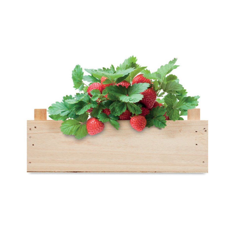 STRAWBERRY - Kit per coltivare fragole - Gadget.it - 
