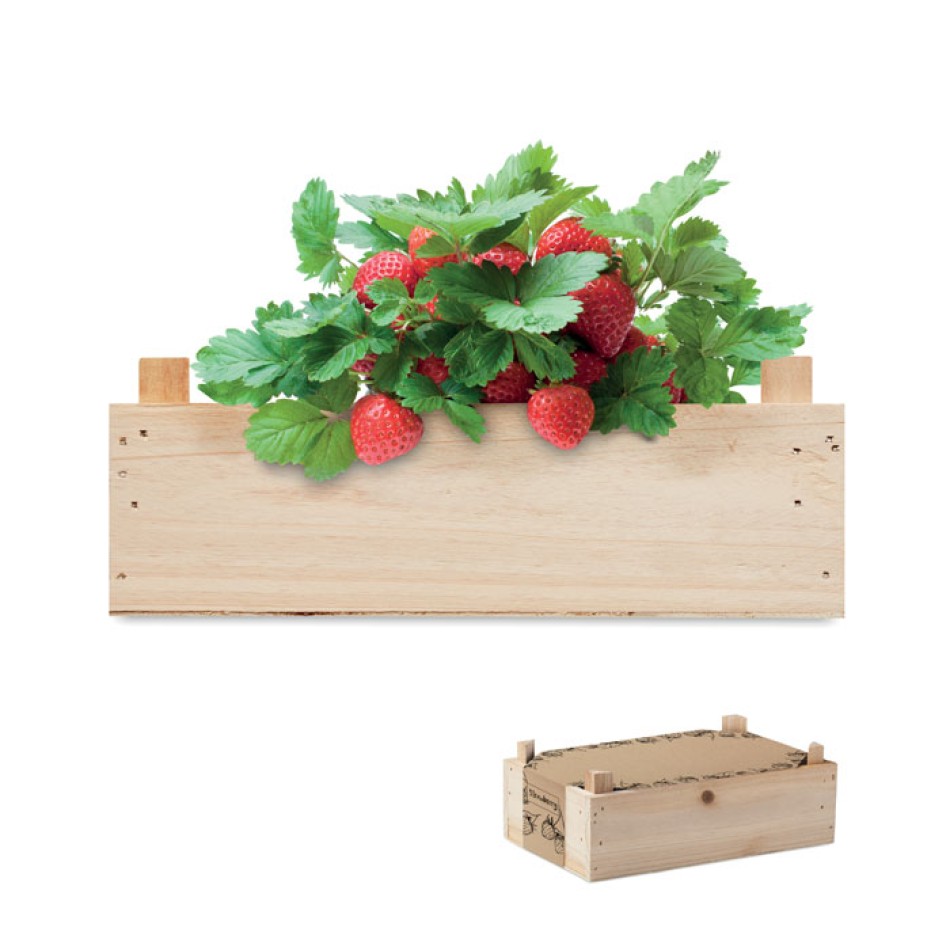 STRAWBERRY - Kit per coltivare fragole - Gadget.it - 
