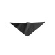 TRIUMPH - Gadget.it - 