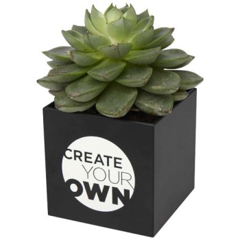 Vaso in alluminio con pianta, cactus Hey Pots - Gadget.it - 