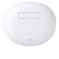 lid